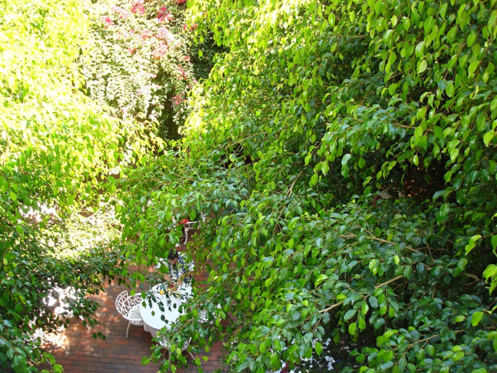 DSC00061.jpg